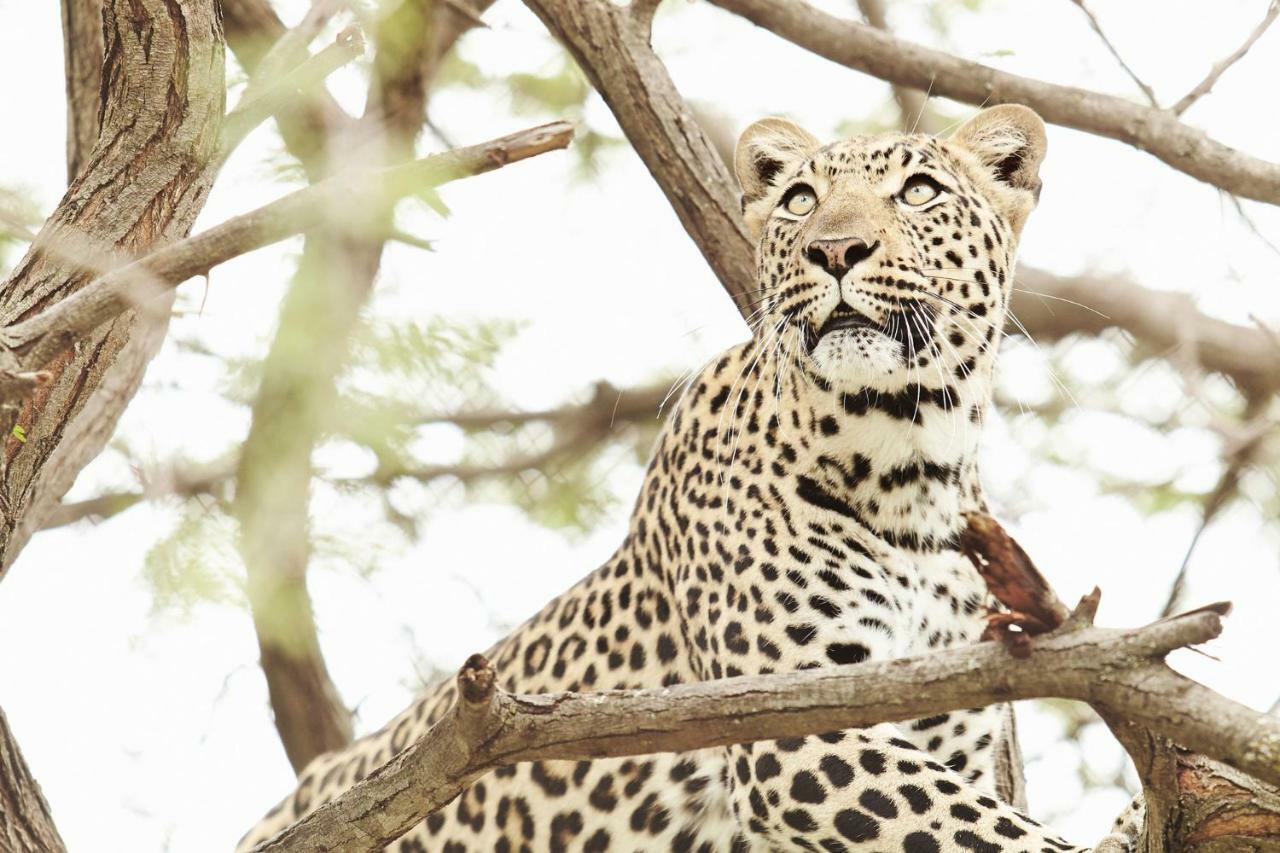 Vuyani River Lodge Hoedspruit Eksteriør bilde